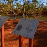 Interpretive signage at the stunning Cattle Pool, Kingsford Smith Mail Run Outback Pathway. Photo: Bianca DalCollo