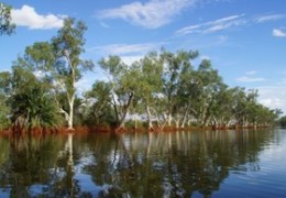 Emu Creek Station